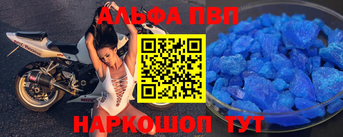 Alfa_PVP СК КРИС Майкоп