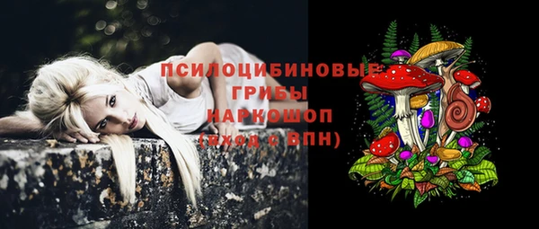 скорость Алексин
