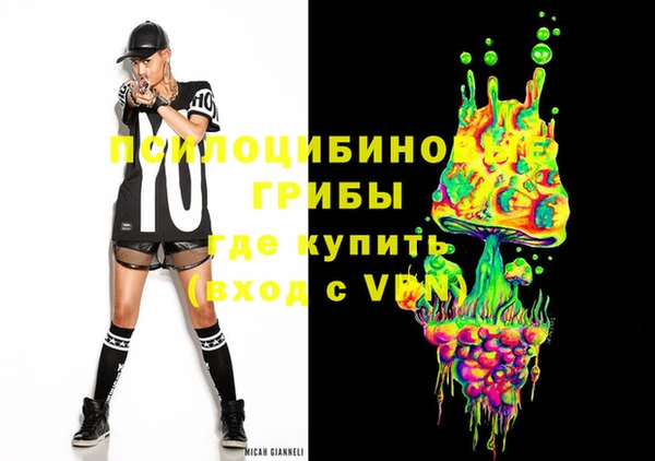 прущий лед Алзамай