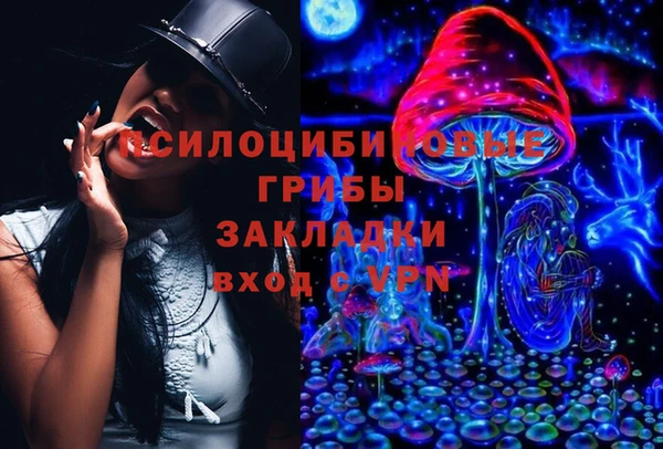 метадон Армянск