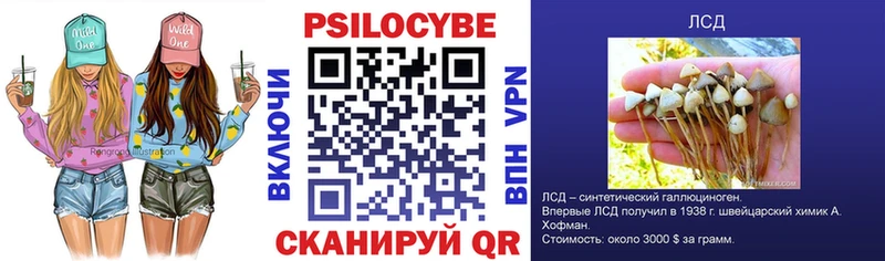 купить наркотики сайты  Майкоп  Галлюциногенные грибы мухоморы 