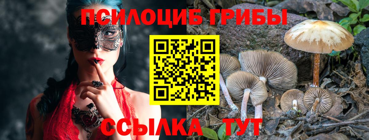 Галлюциногенные грибы Magic Shrooms  Вход с VPN  Галлюциногенные грибы мицелий  что такое   Майкоп 