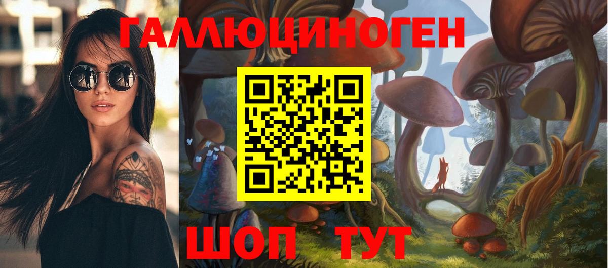 Галлюциногенные грибы прущие грибы Майкоп