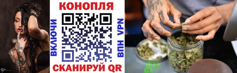 купить   Майкоп  Конопля индика 